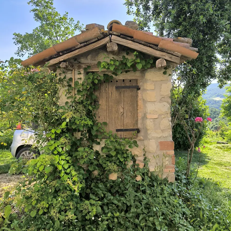 Foto del B&B Monte Bibele a Monterenzio — La natura intorno alla struttura