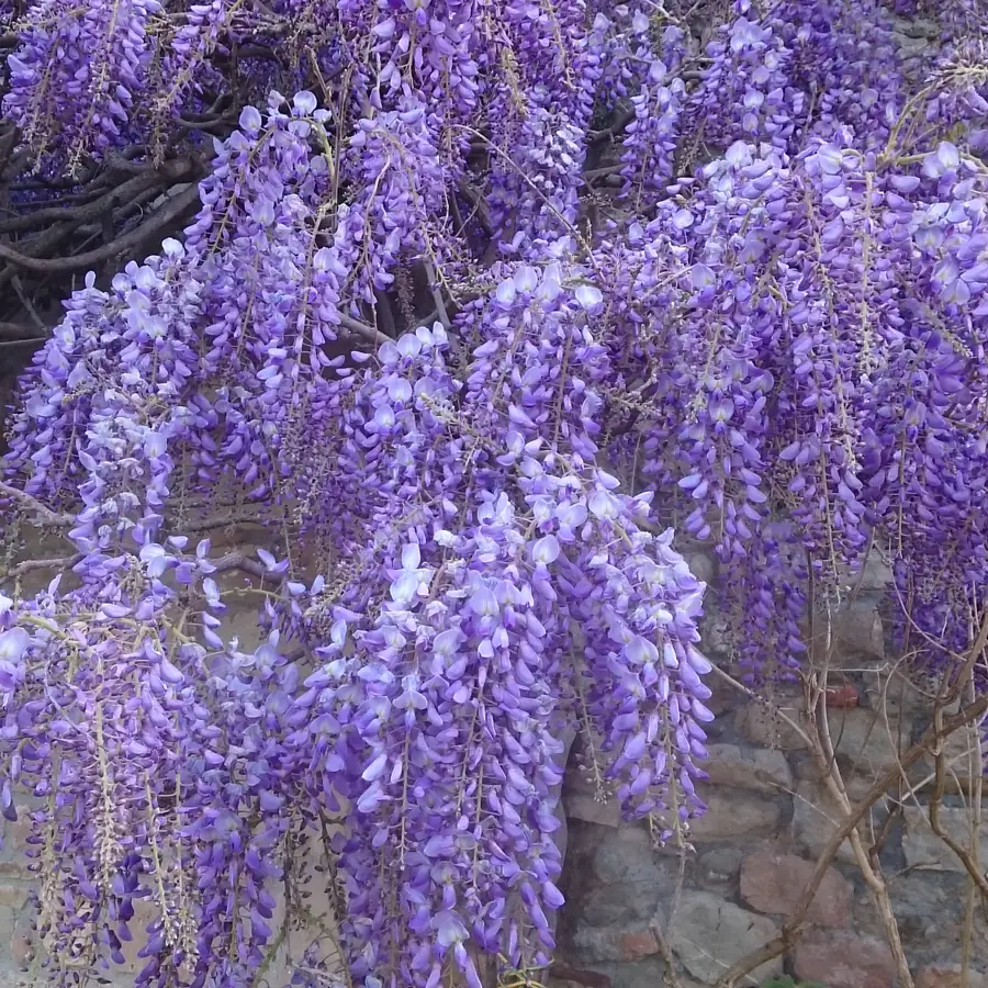 Foto del B&B Monte Bibele a Monterenzio — Il paesaggio intorno