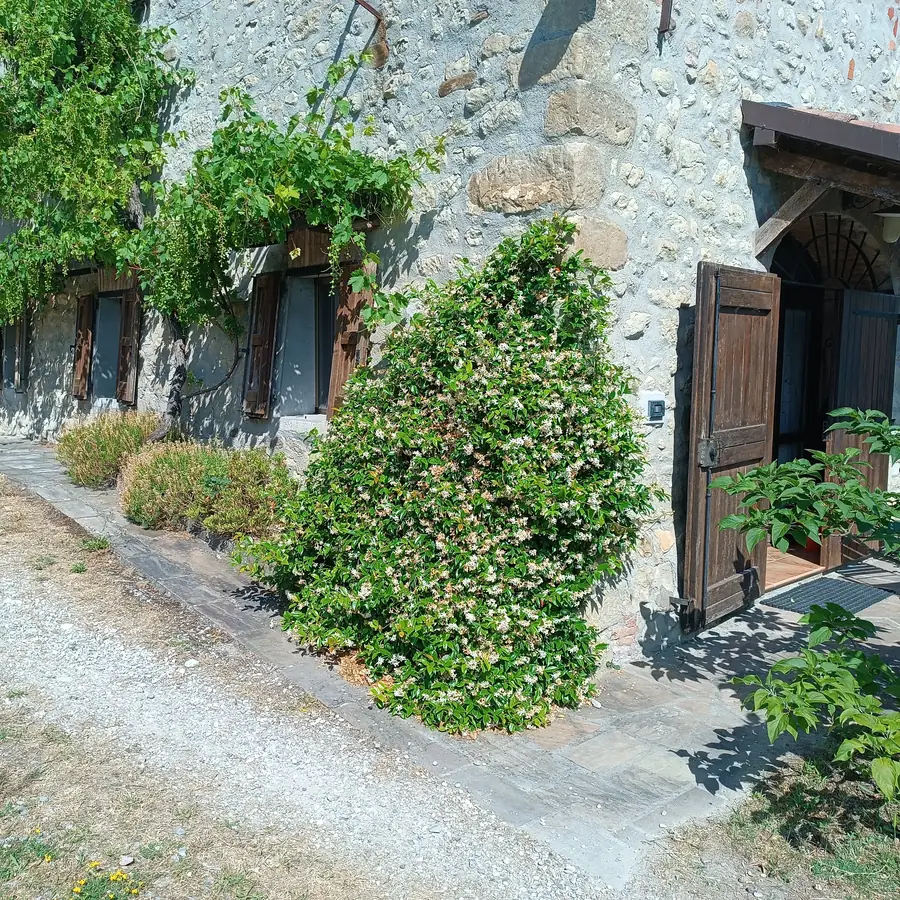 Foto del B&B Monte Bibele a Monterenzio — La vegetazione dei colli
