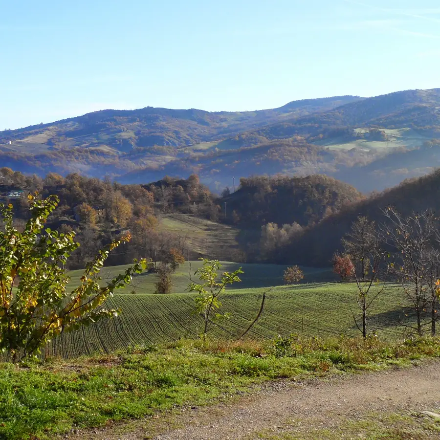 Foto del B&B Monte Bibele a Monterenzio — I colli dell'Appennino bolognese