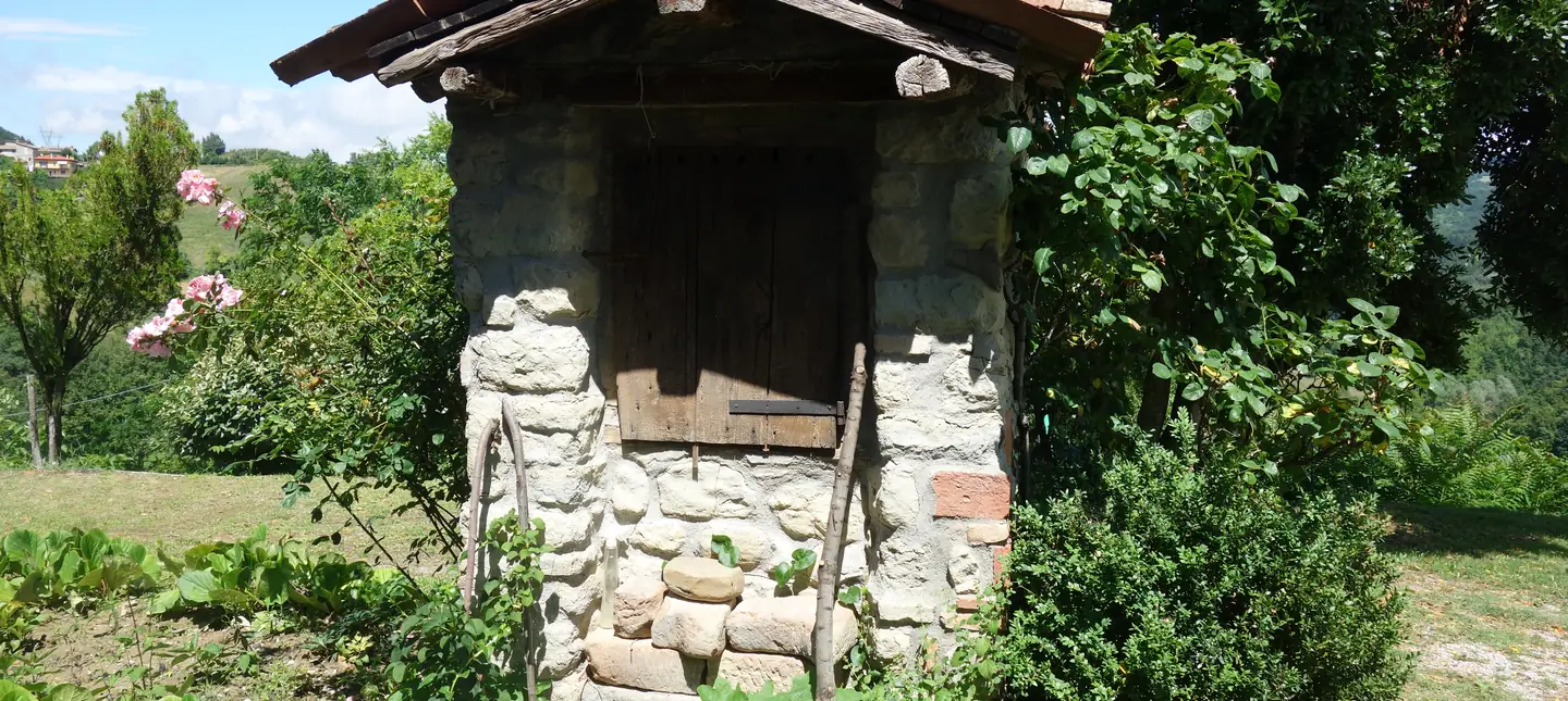La natura intorno al B&B Monte Bibele, Appennino bolognese