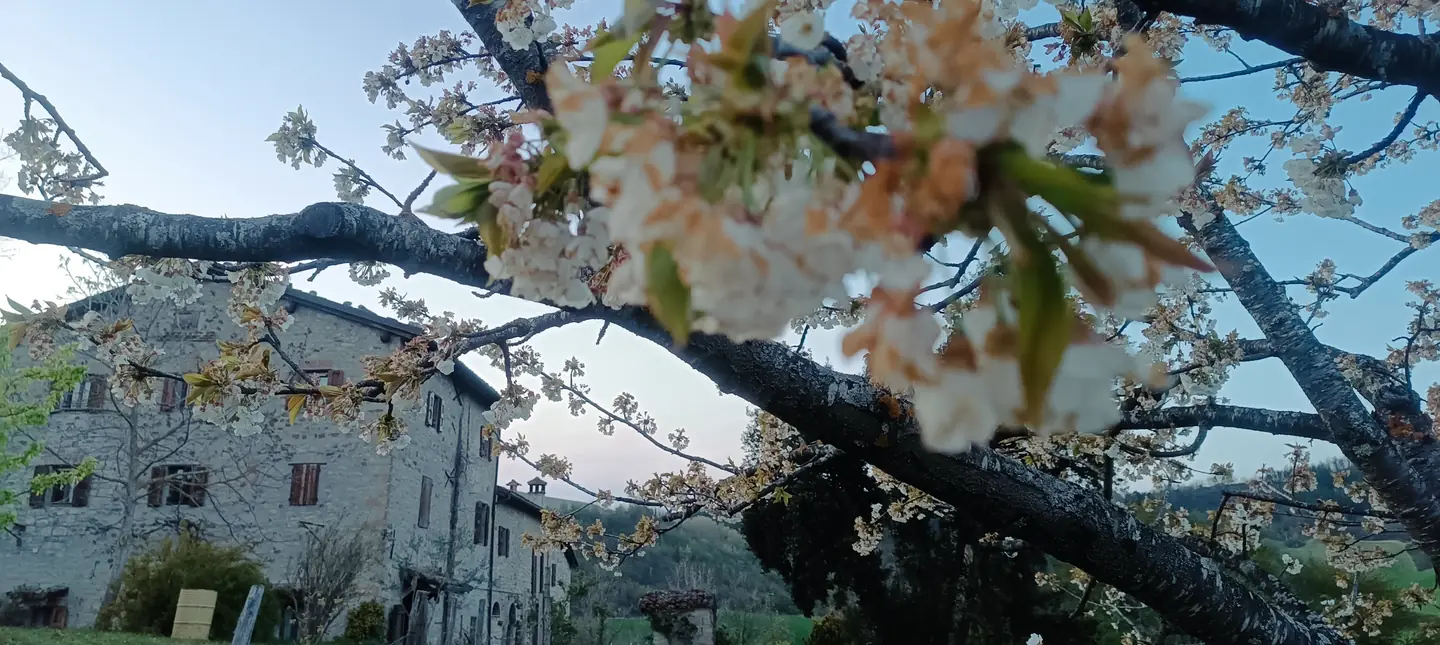 I panorami sui colli dell'Appennino bolognese dal B&B Monte Bibele